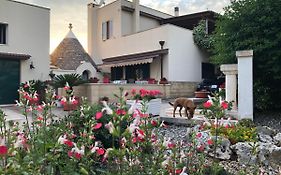 Casa Delle Rondini